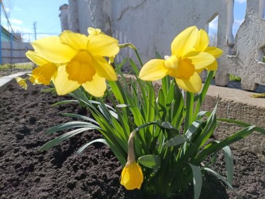 ������ ����!. ������� ����� ������� � ������������