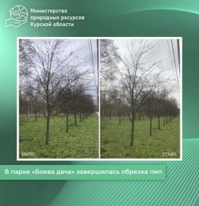 � ����� ������ ���� ����������� ������� ���