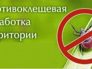 16 апреля 2026 года будет проводиться акарицидная (противоклещевая) обработка общественных территорий города Курчатова: Набережная 1-3 микрорайонов, парк «Изумрудный город», кладбище по ул. Садовая (расположенное за домами...