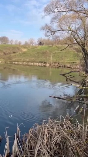 � ����������� ������ ������ �����