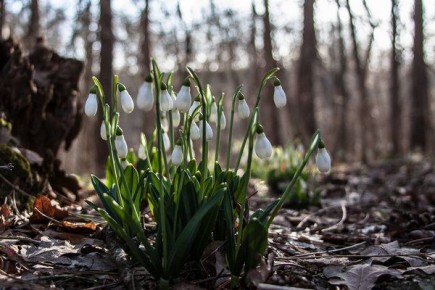 Вы — небо. Все остальное — это всего лишь погода Представляем прогноз на 14 апреля в Курске