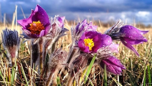 � ���������� ����� ������� ������� ������� ����������, ��������� � ������� �����