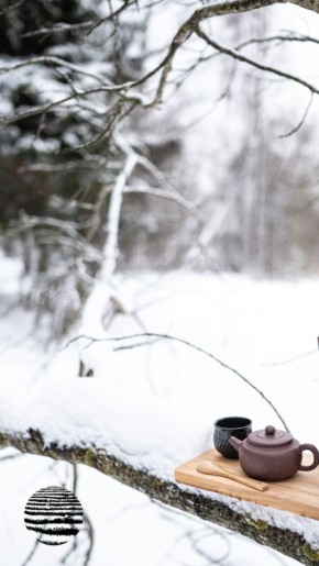 ��� ��������� ���� �������� �������� ������ �����