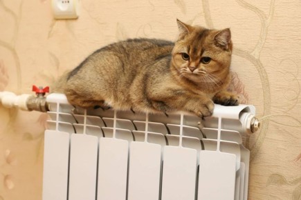 ��� ������ ������� ���������� ��������� ��-�� ������� � ������ �������