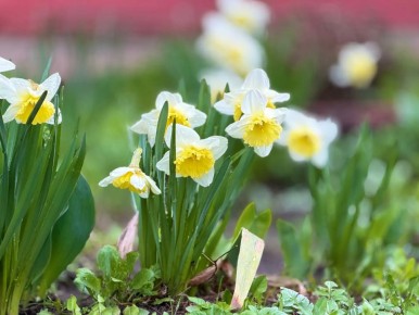 ����� ��� � �����. � �������� �������������� ��Ȼ ����� ������� ������ �������� � ����� �������� �����