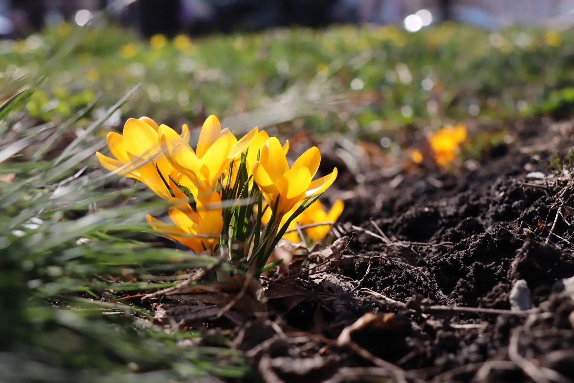 Доброе утро!. Сегодня, в среду, 15 апреля, по прогнозу регионального отделения МЧС, в Курской области облачно
