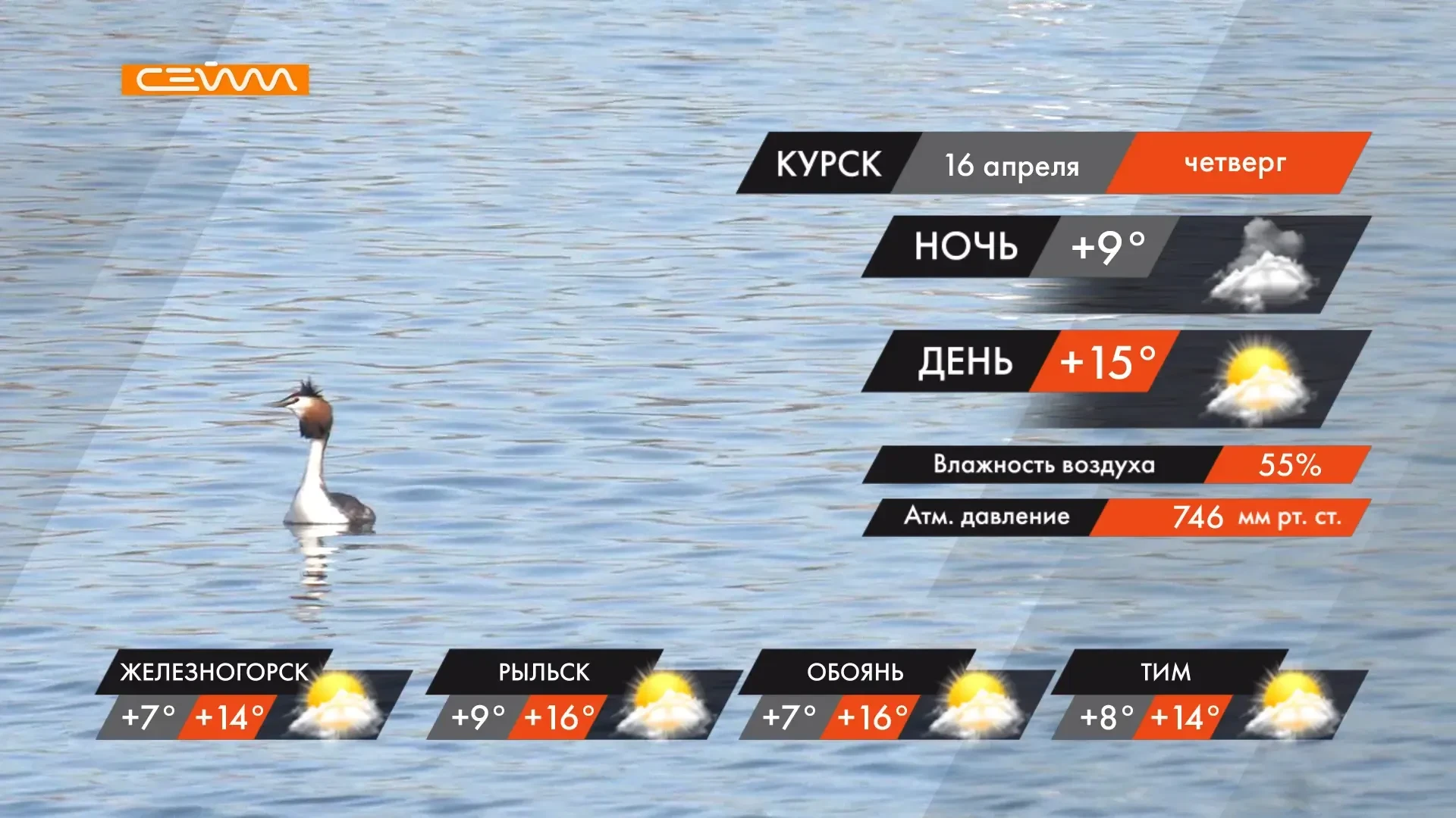 Облачная погода и небольшие дожди ожидаются в Курской области 16 апреля