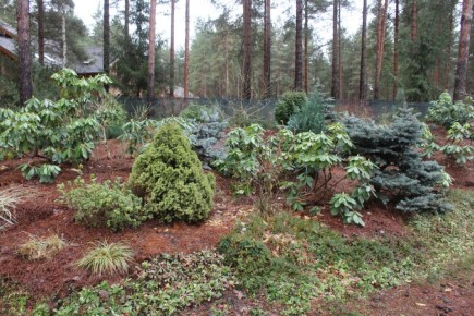 ������ ��� ��� �����: ��� ��������� ������� � ������