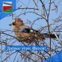 ДОБРОЕ УТРО. Пусть этот четверг принесет вам много радости и вдохновения