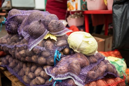 Курским аграриям рассказали об опасности фомоза картофеля