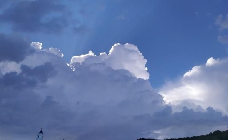 � ��������� ������ ���������� �������� �� ����� � ������