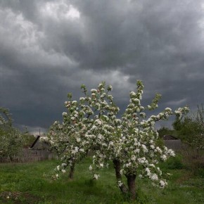 � ��������� ������ ����� �������� �� �������� ����� �� ������������ ��������� ������