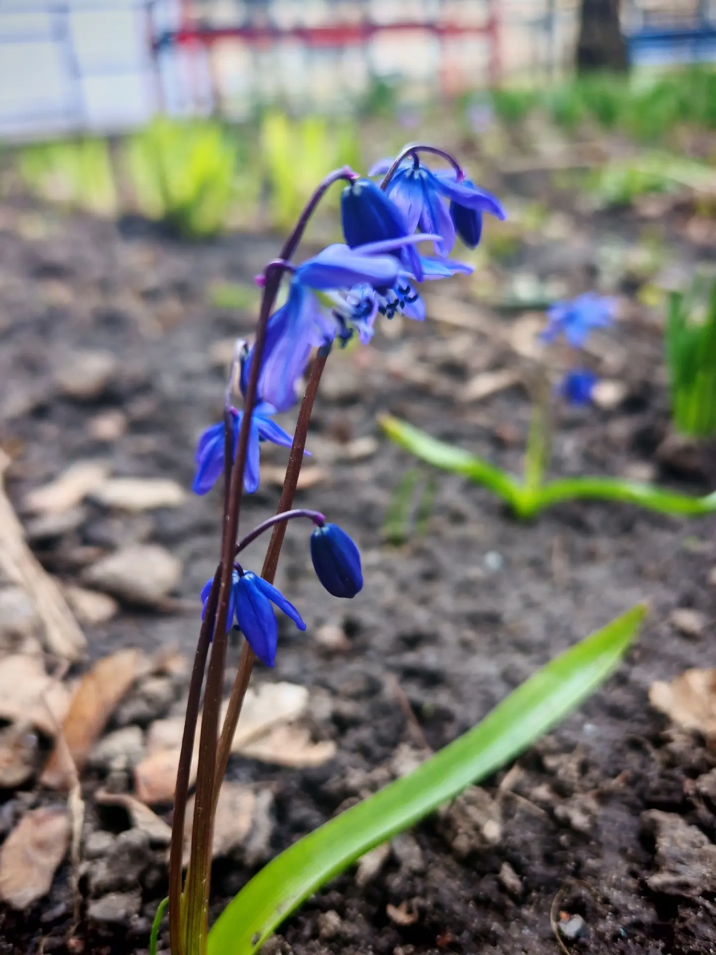 Доброе утро!. Сегодня, в четверг, 16 апреля, по прогнозу регионального отделения МЧС, в Курской области облачно с прояснениями