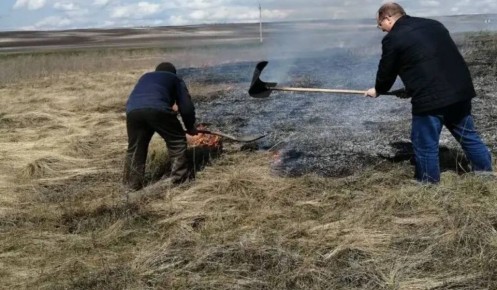 В Курской области огнеборцы ликвидировали возгорание травы