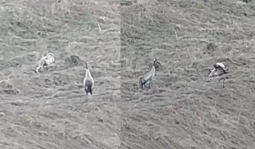 � ������� ������� ����������� �� ����� ������� ����� ��������