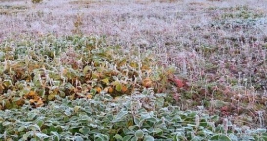 � ������� ������� �������� ��������� ��� �������� �������� �������