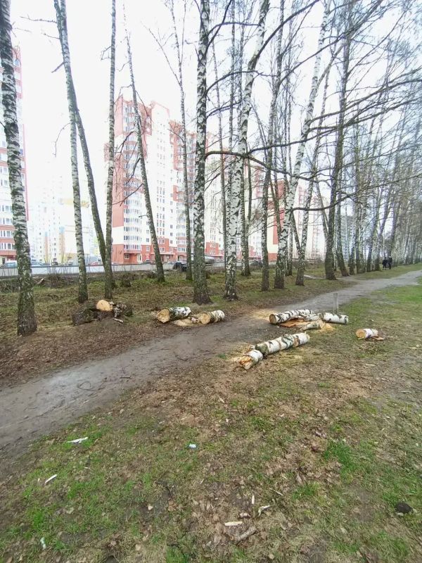 �� ��. �. �������� � ������ ��������� ���� ��������� ���� ����� ����� �������