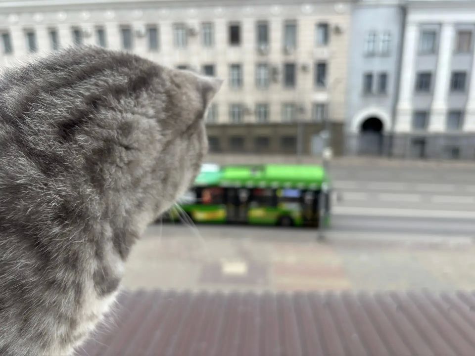 ��� ��������� �� ������������ � ������ ������ � ������