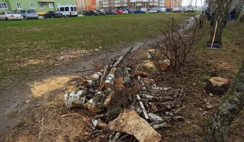 � ������ ��������� ���� ��������� ���� �� ����� �������� �� ������� �������