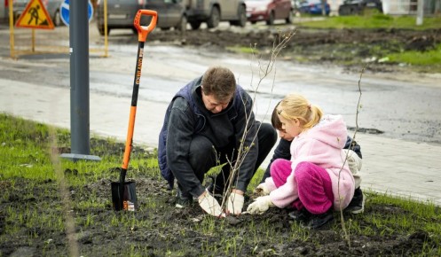 � ������ ������������������ ������ �������� 72 ����� ������ � ������ � �����