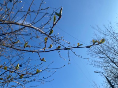 � ������ ������� ������ �������� � ���������� �����