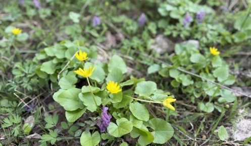 � ������� ������� 20 ������ ��������� ������ ��������� �� ���� �������� ������