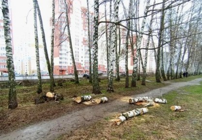 ����� ������ ����������������� ���� ����� ����� ����� ��������