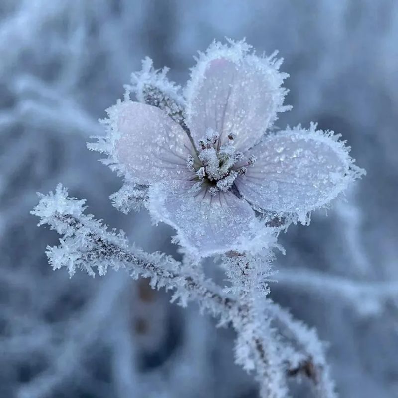 � ������� ������� ������ ��������� ������ ���� � ������ ��������� �� -2 ��������