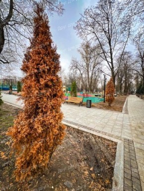 � ������� ����� �������� ������� ������� ���������� ���