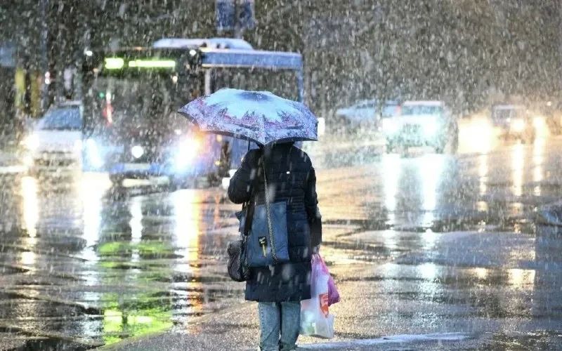 �����, ����, � ������� � ������� ����� ��������� � ����������� ����� ������ ����� �������� �����������