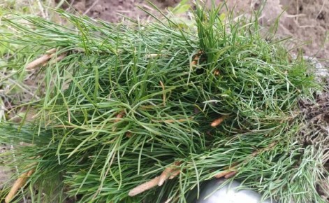 � ������� ������� �������� ������ ���������� �����