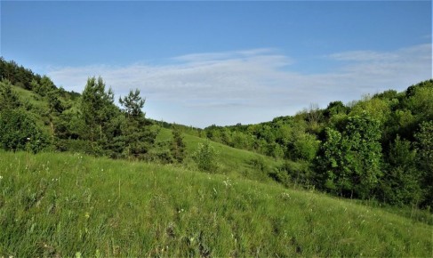 � ������� ������� ������ �������� ������� �������� ������� ���