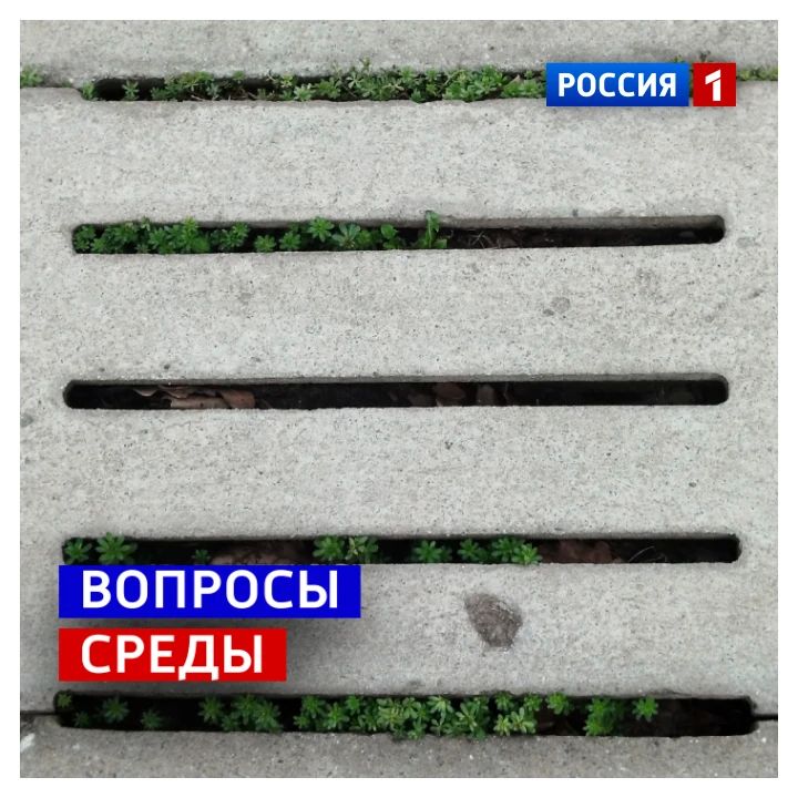 22 ������, �����. ������� ������������� ���� �����������