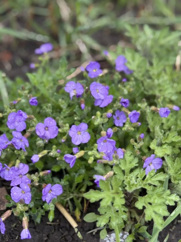 ������ ����!. �������, � �����, 22 ������, �� �������� ������������� ��������� ���, � ������� ������� ������� � ������������