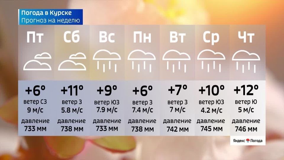 �� 23 ������. ����� ������ | �������� | MAX