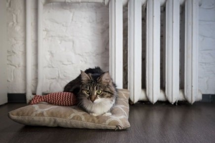 �� ������� ����� �� ����� ��������� ��������� 23 ������