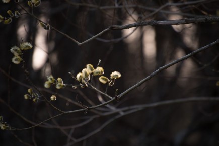 ��������� ������������ ����� � ����� � ������� �����