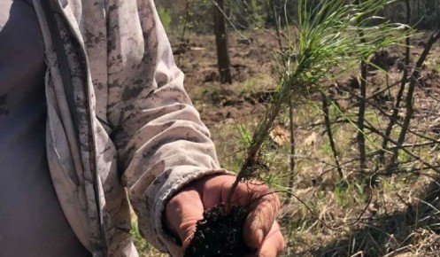 � ������ ��������� �������� 5 ����� �������� �����