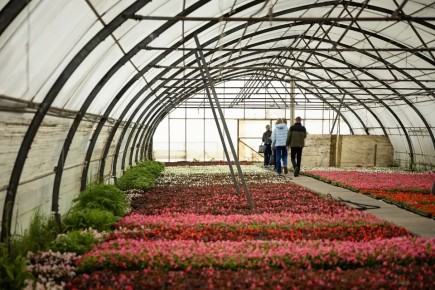 ����� ��� ������� ����� �������� ���� ��������