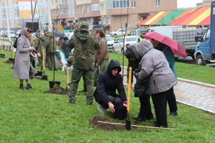 � ������ ������ ����������� �������� ��������� ����� ������