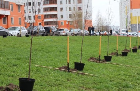 � ������ �������� 50 ������ � ����� ���������� �������, ������������ �� ��������� ���