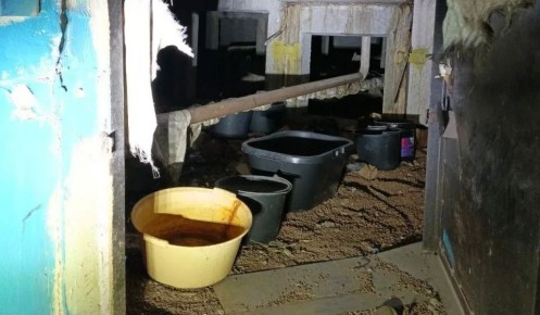 � ������� ������� �� �������� 50 ����� ������ �� ����������� ��������