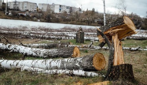 ��� ������� ��������� ���� � ������� ����������� ������� ���������� ������