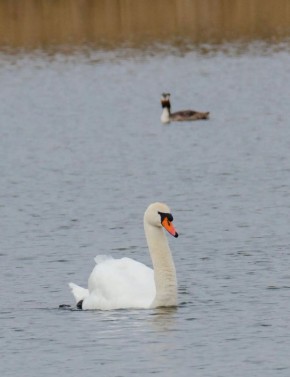 ������ � ����� �� ������������ ������������� � �������������