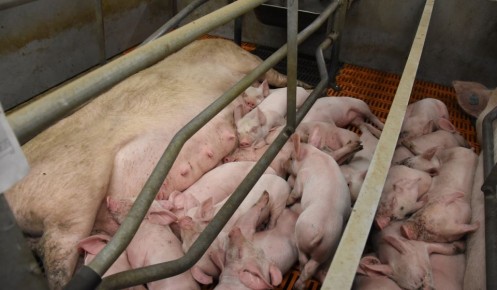 � ������� ������� ��������� ��������� ���������� ������� ���� � ����� ��������������