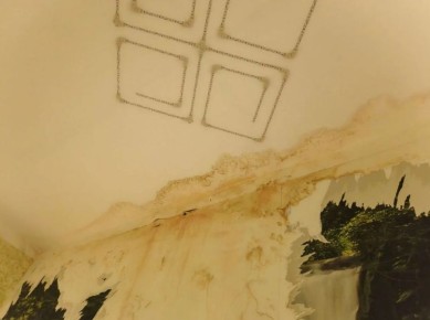 �� ����������� �����, ������� �������� ��������� �������, ������������ ����������� ����������� ����� �� 50 �����