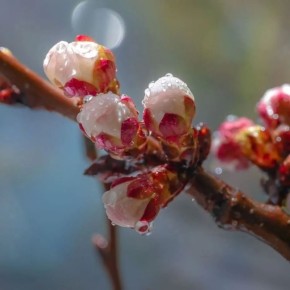 ������ ����!. ���� 28 ������ �� ������� ��������� ����� � ������ ����� �� 17 ������ � �������