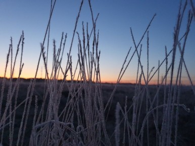 � ������� ������� 30 ������ ������� ����� � ������ ������