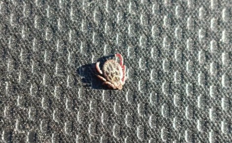 � ������� ������� �� ������ ������ ��������� 131 �������