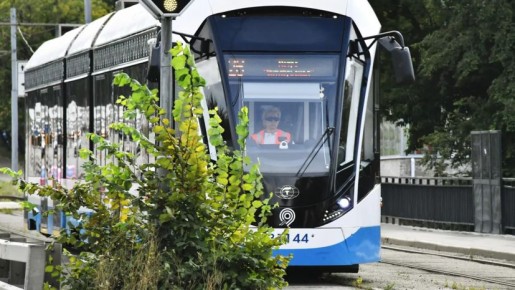 �������: ����� ���������� ����� ������� ������������ ����������� �����������